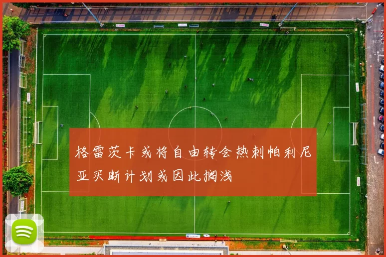 格雷茨卡或将自由转会热刺帕利尼亚买断计划或因此搁浅