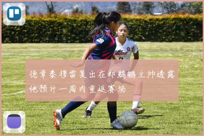 德章泰穆雷复出在即鹈鹕主帅透露他预计一周内重返赛场